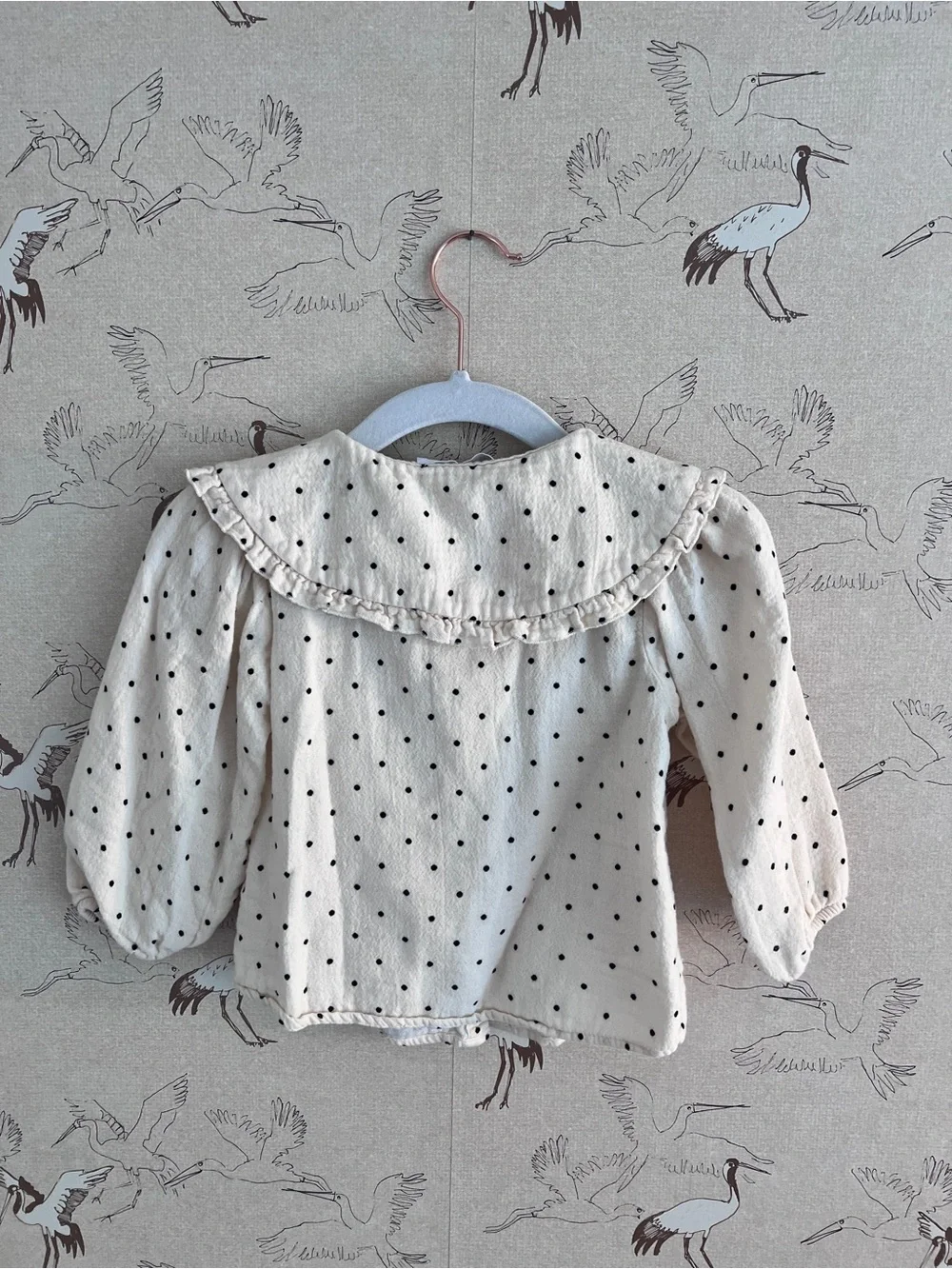 Zara girls toddler 2-3 polka dot blouse w/ Peter Pan collar